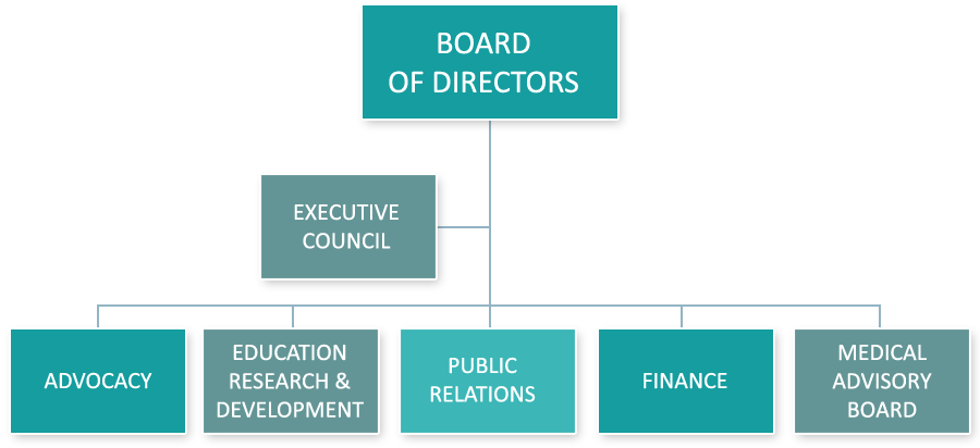 Graphic showing the structure of the INHA on 3 levels - Level 1 Board of Directors, Level 2 Executive Council, Level 3 has five elements including Advocacy, Education R&D Development, Public Relations, Finance and Medical Advisory Board