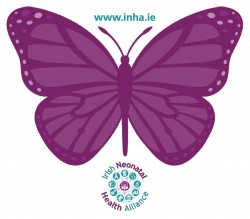 inha_butterfly_template-page-001-2