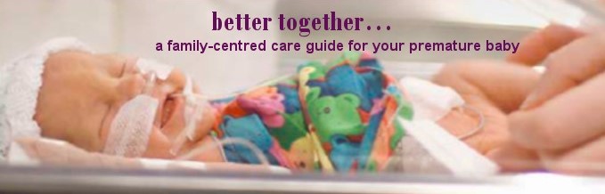 INHA - WPD 2017 - Next Steps