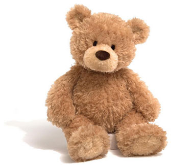 Photo of a Teddy Bear. It can be helpful as part of the grieving process when burying your infant, to consider purchasing 2 identical soft toys, one to bury with your infant and the other to remember him/her by.
